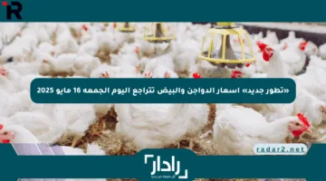 «تطور جديد» أسعار الدواجن والبيض تتراجع اليوم الجمعة 16 مايو 2025